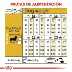 Royal Canin Dachshund Adult -Miscota Soldes Boutique 84 6 6 g