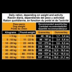 Arquivet Croquettes Pour Chiens Adultes Au Poulet Et Au Riz -Miscota Soldes Boutique 8435117810075 6 g