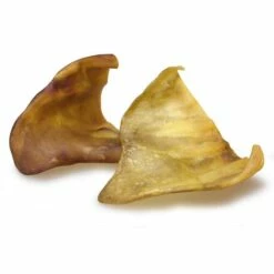 Miscota Soldes Boutique -Miscota Soldes Boutique 8435117827028 2 g