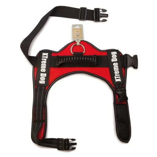 Arquivet Harnais Pour Chien Xtreme Rouge 4 Arquivet Harnais Pour Chien Xtreme Rouge – Image 2