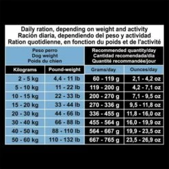 Arquivet Croquettes Pour Chien Senior Senior&Light Avec Poulet Et Riz 9 Arquivet Croquettes Pour Chien Senior Senior&Light Avec Poulet Et Riz -Miscota Soldes Boutique 8435117892866 4 62e249de90de2 g