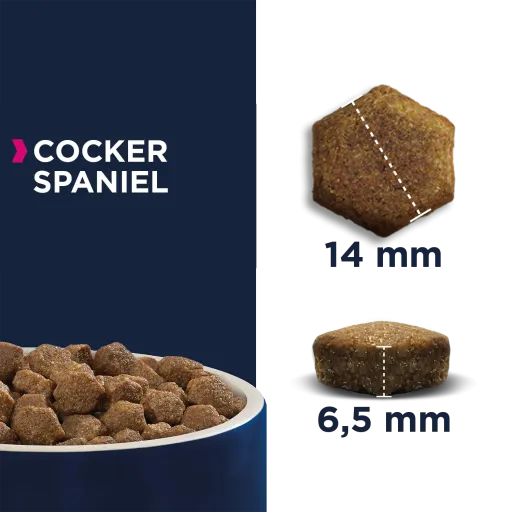 Eukanuba Cocker Spaniel 4 Eukanuba Cocker Spaniel – Image 2