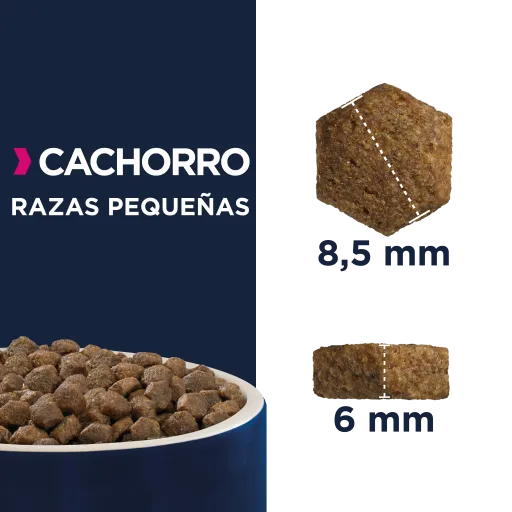 Eukanuba Chiot De Petite Race 4 Eukanuba Chiot De Petite Race – Image 2