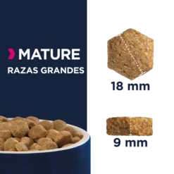 Eukanuba Mature Large Breed -Miscota Soldes Boutique 8710255120911 637f64327676a g