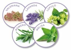 Beaphar No Stress Pack Diffuseur Et Recharge Pour Chiens 9 Beaphar No Stress Pack Diffuseur Et Recharge Pour Chiens -Miscota Soldes Boutique 8711231148981 2 g