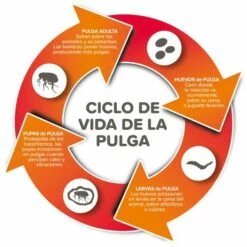 Fiprotec Spray Antiparasitaire Pour Chiens Et Chats -Miscota Soldes Boutique 8711231154081 2 64a6c495da565 g