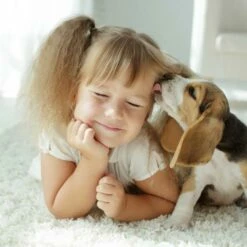 Fiprotec Spray Antiparasitaire Pour Chiens Et Chats -Miscota Soldes Boutique 8711231154081 2 g