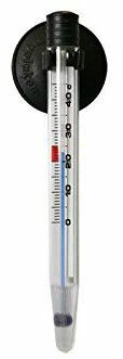 Dupla Thermomètre Pour Aquarium