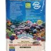 Natures Ocean Bio Activ Live Blanche 0,5-1,7 Mm