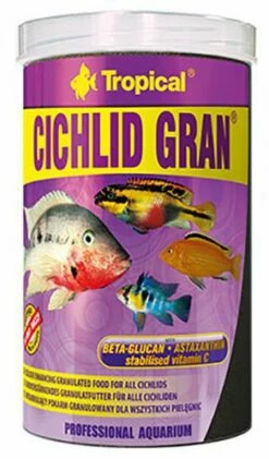 Tropical Cichlid Gran