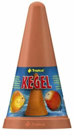 Tropical Discos Cône Sunsets