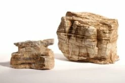 Aquarium Münster Light Pagode L