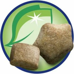 Dog Chow Adult Au Poulet -Miscota Soldes Boutique 92870 07613034464590 12362609 consumer data p8 7 g