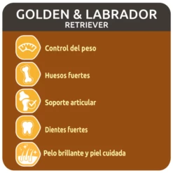 Ultima Tourteau Golden Et Labrador -Miscota Soldes Boutique 93425 3 3 g