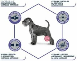 Advance Vet Diets Articular Care 7+ Years 11 Advance Vet Diets Articular Care 7+ Years -Miscota Soldes Boutique 95255 3 3 g