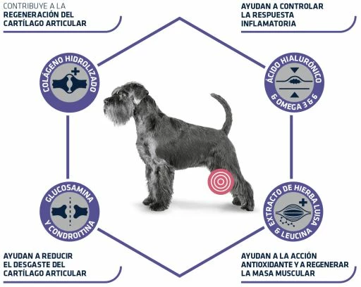 Advance Vet Diets Articular Care 7+ Years 5 Advance Vet Diets Articular Care 7+ Years – Image 3