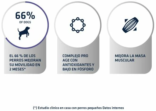 Advance Vet Diets Articular Care 7+ Years 6 Advance Vet Diets Articular Care 7+ Years – Image 4