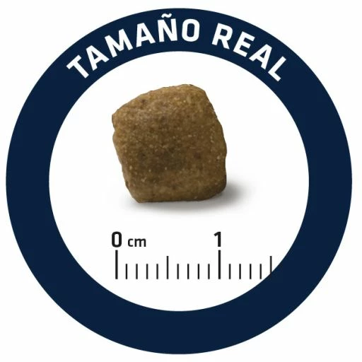 Advance Vet Diets Articular Care 7+ Years 7 Advance Vet Diets Articular Care 7+ Years – Image 5