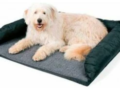 Trixie Chambre De Voiture Pour Nylon / Doublure, 95 X 75 Cm -Miscota Soldes Boutique 9f1c7e89d1c904cd1039f68826639ccde5ca2f50 6419d59548fff g