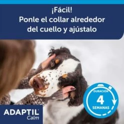 Adaptil Collier Pour Chiens -Miscota Soldes Boutique ADAPTIL Calm Collar ML Carousel 5 649ad29a9a6ca g