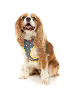 FuzzYard Harnais Pour Chien Coachella 9 FuzzYard Harnais Pour Chien Coachella -Miscota Soldes Boutique Arnes petral para perros Coachella 3 63f4a235d8160 g