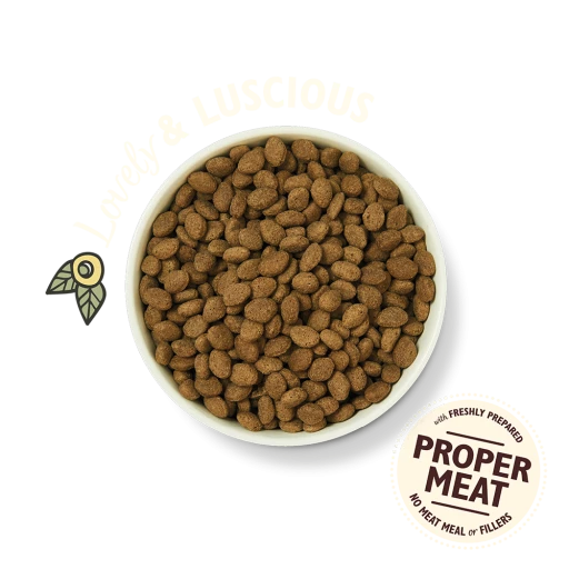 Lily's Kitchen Nourriture Sèche Salmon Supper 4 Lily's Kitchen Nourriture Sèche Salmon Supper – Image 2