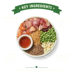 Lily's Kitchen Nourriture Sèche Chiot Poulet & Saumon -Miscota Soldes Boutique BDPDC 2 62d10f10d80fc g