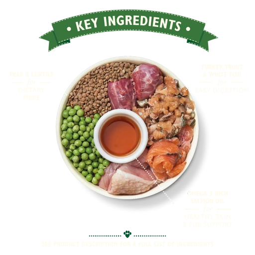 Lily's Kitchen Nourriture Sèche Senior Dinde & Truite 5 Lily's Kitchen Nourriture Sèche Senior Dinde & Truite – Image 3