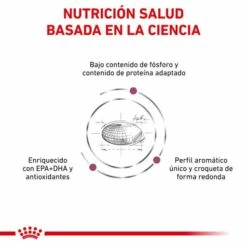 Royal Canin Nourriture Renal Special Canine -Miscota Soldes Boutique BENEFICIOS 1 62fccb1656a9e g