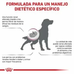 Royal Canin Nourriture Renal Canine -Miscota Soldes Boutique BENEFICIOS 2 62fcca574dfa0 g
