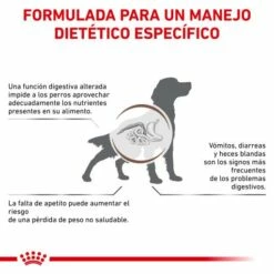 Royal Canin Nourriture Gastro-intestinal 25 Canine -Miscota Soldes Boutique BENEFICIOS 62fcc161c7845 g
