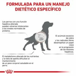 Royal Canin Nourriture Hepatic HF16 Canine 20 Royal Canin Nourriture Hepatic HF16 Canine -Miscota Soldes Boutique BENEFICIOS 62fcc18bc979a g