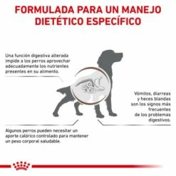 Royal Canin Nourriture Gastro-intestinal Moderate Calorie 17 Royal Canin Nourriture Gastro-intestinal Moderate Calorie -Miscota Soldes Boutique BENEFICIOS 62fcc1fb3bcdf g