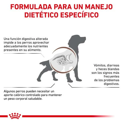 Royal Canin Nourriture Gastro-intestinal Moderate Calorie 9 Royal Canin Nourriture Gastro-intestinal Moderate Calorie – Image 7