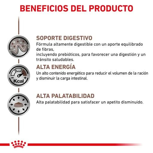 Royal Canin Nourriture Húemda Gastro-intestinal Canine 8 Royal Canin Nourriture Húemda Gastro-intestinal Canine – Image 6