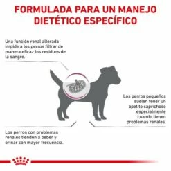 Royal Canin Renal Small Dog 16 Royal Canin Renal Small Dog -Miscota Soldes Boutique BENEFICIOS 62fcca76cdcf4 g