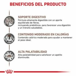 Royal Canin Nourriture Gastro-intestinal Moderate Calorie 18 Royal Canin Nourriture Gastro-intestinal Moderate Calorie -Miscota Soldes Boutique BENFICIOS 2 62fcc1fca1f26 g
