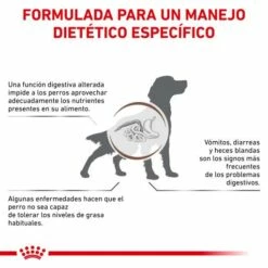 Royal Canin Nourriture Gastro-intestinal Low Fat 22 Canine 20 Royal Canin Nourriture Gastro-intestinal Low Fat 22 Canine -Miscota Soldes Boutique BENFICIOS 62fcc1ddd6962 g