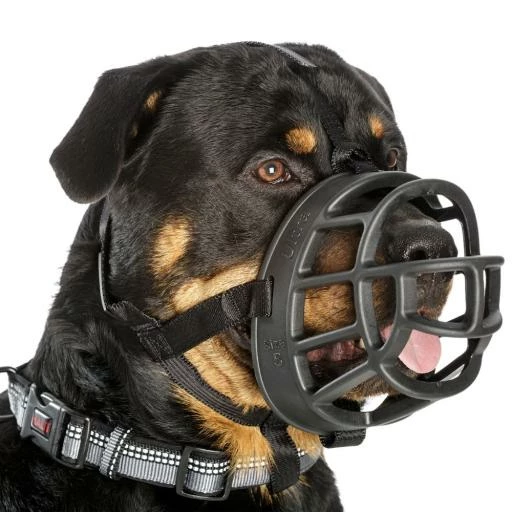 The Company Of Animals Baskerville Ultra Muzzle 12 The Company Of Animals Baskerville Ultra Muzzle – Image 10