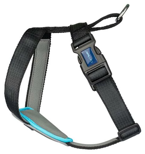 The Company Of Animals Carsafe Dog Voyage Black Harness 12 The Company Of Animals Carsafe Dog Voyage Black Harness – Image 10