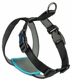 The Company Of Animals Carsafe Dog Voyage Black Harness 20 The Company Of Animals Carsafe Dog Voyage Black Harness -Miscota Soldes Boutique COA29021B COA29121B COA29221B COA29321B 2 637cd805302cc g