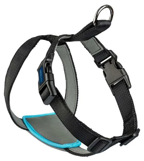 The Company Of Animals Carsafe Dog Voyage Black Harness 11 The Company Of Animals Carsafe Dog Voyage Black Harness – Image 9
