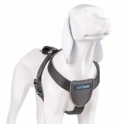 The Company Of Animals Carsafe Dog Voyage Black Harness 18 The Company Of Animals Carsafe Dog Voyage Black Harness -Miscota Soldes Boutique COA29021B COA29121B COA29221B COA29321B 4 637cd80427a16 g