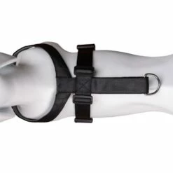 The Company Of Animals Carsafe Dog Voyage Black Harness 17 The Company Of Animals Carsafe Dog Voyage Black Harness -Miscota Soldes Boutique COA29021B COA29121B COA29221B COA29321B 5 637cd80386369 g