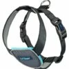 The Company Of Animals Carsafe Dog Voyage Black Harness -Miscota Soldes Boutique COA29021B COA29121B COA29221B COA29321B 637cd7fde4014 g