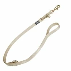 Red Dingo Ceinture Lisse À Plusieurs Plis