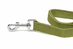 Gloria Pets Sangle En Cuir Vert Nobuk 12 Gloria Pets Sangle En Cuir Vert Nobuk -Miscota Soldes Boutique CR07510VE CR07511VE CR07512VE 2 637dd8057da92 g
