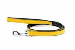 Gloria Pets Cuir Rembourré Jaune -Miscota Soldes Boutique CR07911AM 637e02d02840d g