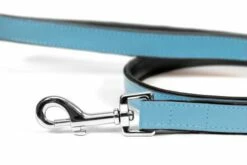 Gloria Pets Cuir Rembourré Bleu -Miscota Soldes Boutique CR07911AZ 2 637e02efad0a3 g