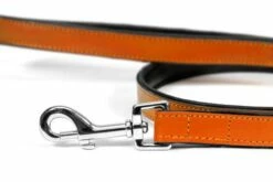 Gloria Pets Cuir Rembourré Orange -Miscota Soldes Boutique CR07911NA 2 637e030bad009 g